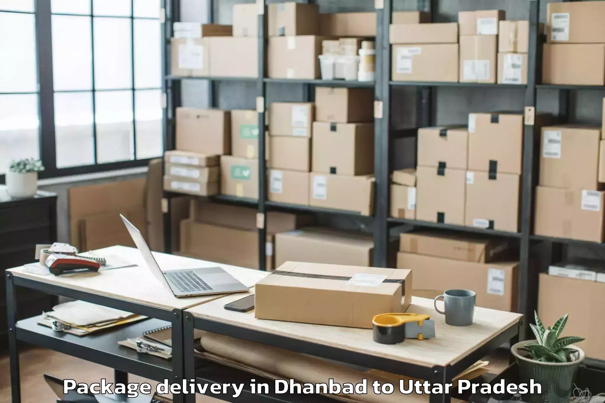 Professional Dhanbad to Banda Package Delivery